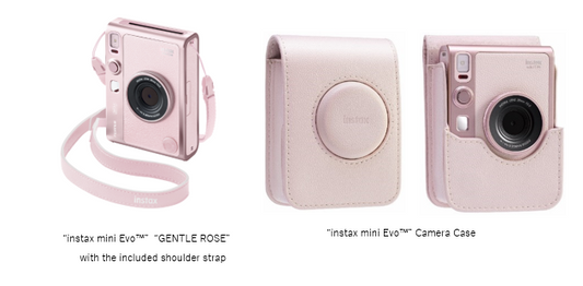 Mini Evo Pink Case